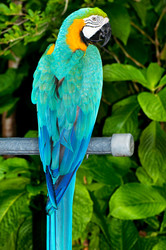 Similar image 475488