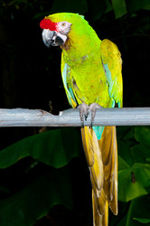 Similar image 475490