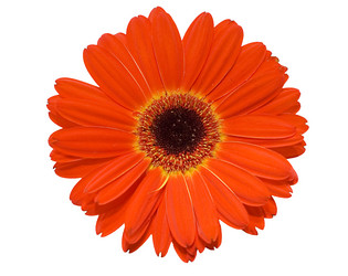 Similar image 475500