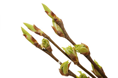 Similar image 475545