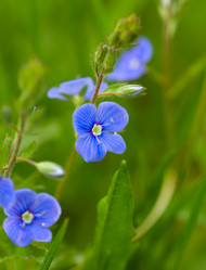 Similar image 475570