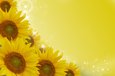 Similar image 475589