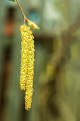 Similar image 475595