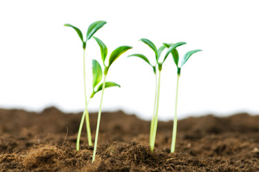 Similar image 475601