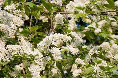 Similar image 475602