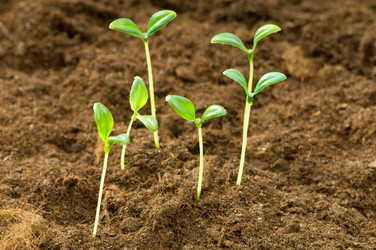 Similar image 475604