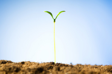 Similar image 475610