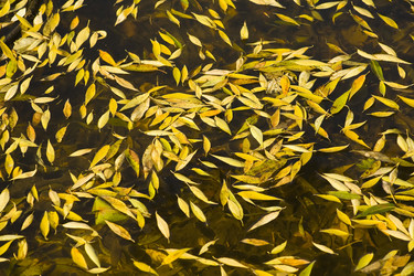 Similar image 475702