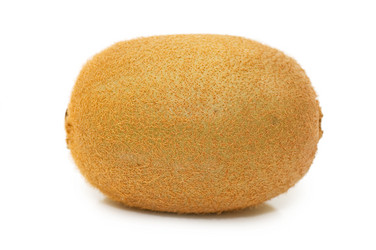 Similar image 475755