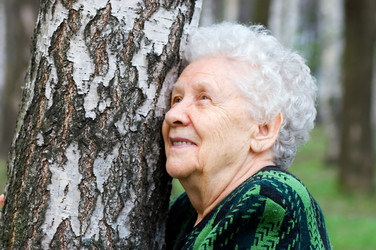 Similar image 475865