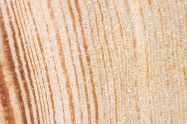 Similar image 475873