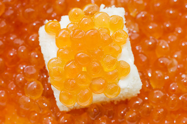 Similar image 475877