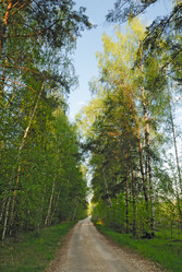 Similar image 476027