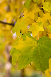 Similar image 476058