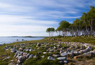 Similar image 476077