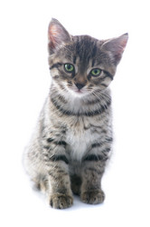 Similar image 476081