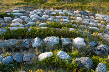 Similar image 476082