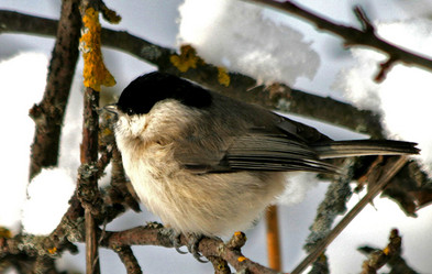 Similar image 476093