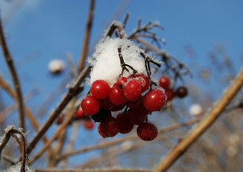 Similar image 476098