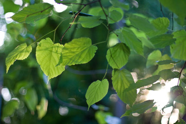 Similar image 476181