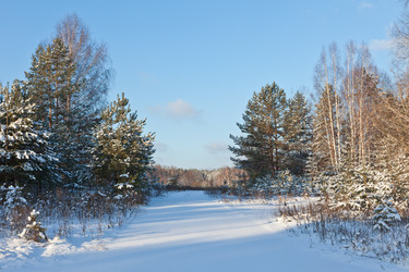 Similar image 476194