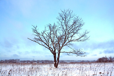 Similar image 476205