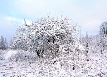 Similar image 476204