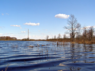 Similar image 476228