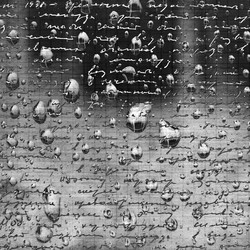 Similar image 476246