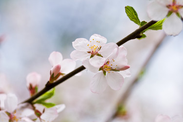 Similar image 476261