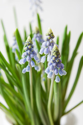 Similar image 476266