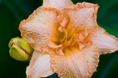 Similar image 476275