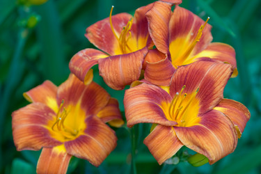 Similar image 476280