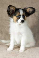 Similar image 476286