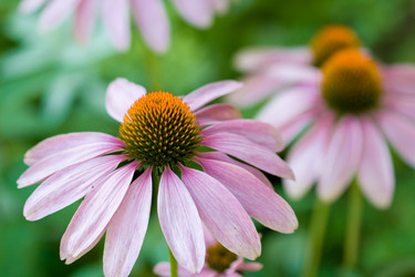 Similar image 476287