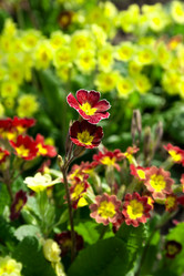 Similar image 476291