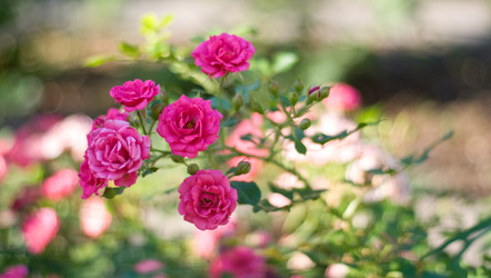 Similar image 476296