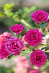 Similar image 476298