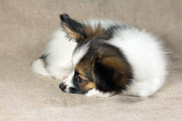 Similar image 476302