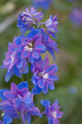 Similar image 476311