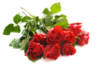 Similar image 476364