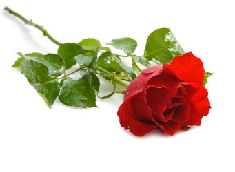 Similar image 476365