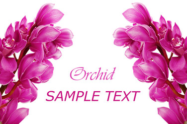 Similar image 476373