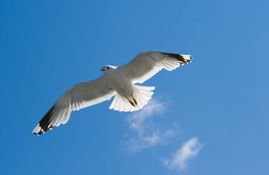 Similar image 476382