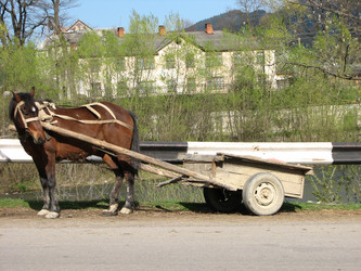 Similar image 476402