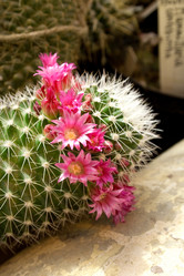 Similar image 476406