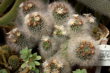 Similar image 476408