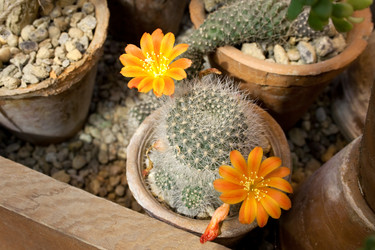 Similar image 476414