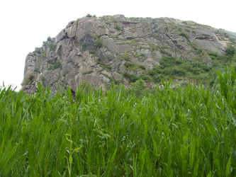 Similar image 476446