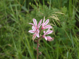 Similar image 476453